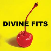 A Thing Called Divine Fits ~ LP x1
