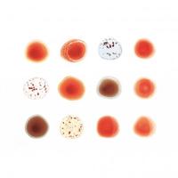 Scratch My Back & I'll Scratch Yours ~ LP x2 180g