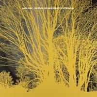 The Stars Are Indifferent To Astronomy ~ LP x1