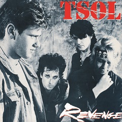 Revenge ~ LP x1 180g