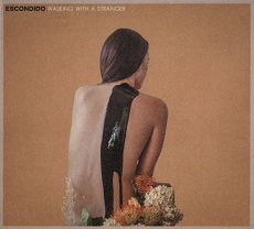 Walking With A Stranger ~ LP x1
