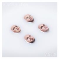 Walls ~ LP x1